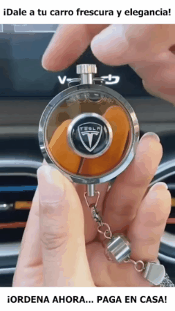 Ambientador para vehiculo